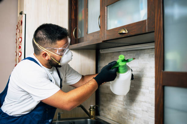 Best Pest Control for Restaurants  in Pine Lawn, MO