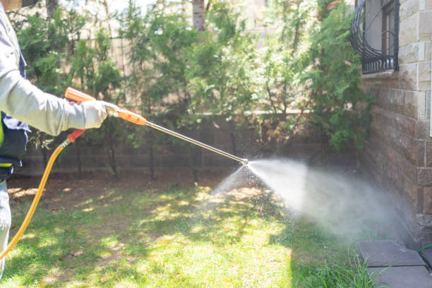 Best Pest Prevention Services  in Pine Lawn, MO