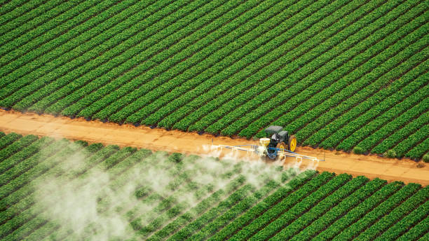 Best Mosquito Control Services  in Pine Lawn, MO