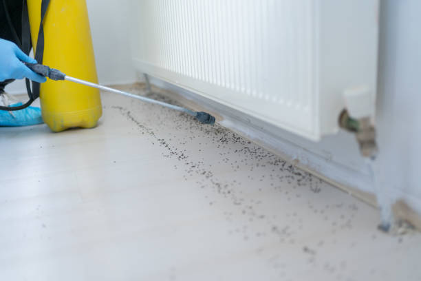 Best Pest Inspection Near Me  in Pine Lawn, MO